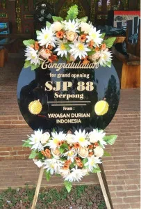Grand Opening Kepulauan Aru